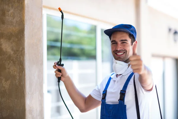 Manor Wasp Removal