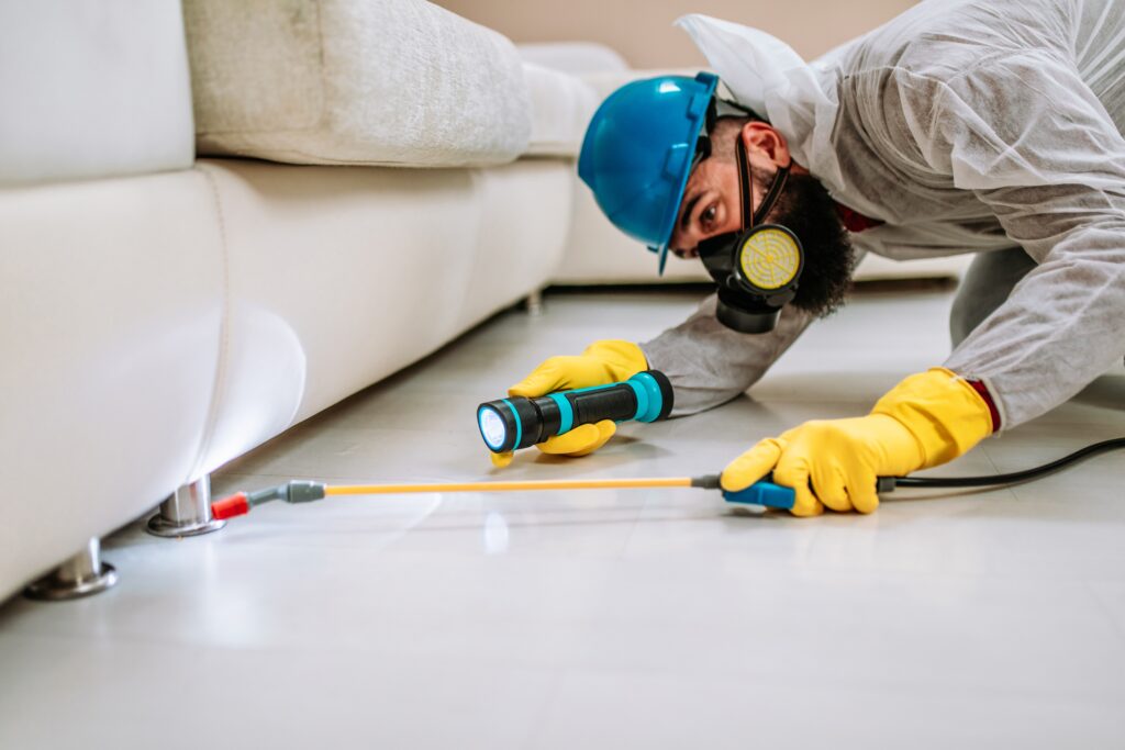 Manor Termite Control