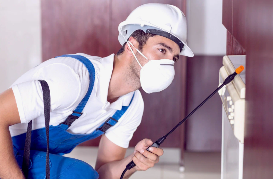 Manor local pest services