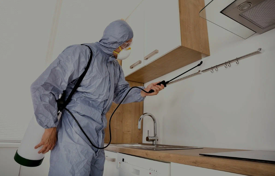 Manor pest managment